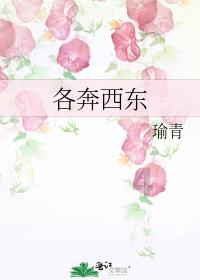 植物大战僵尸13