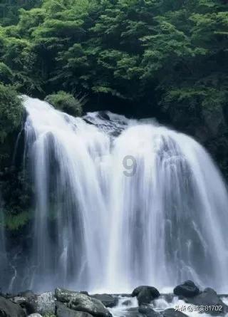 蒿坪毛尖的产地是紫阳蒿坪吗？游戏画面